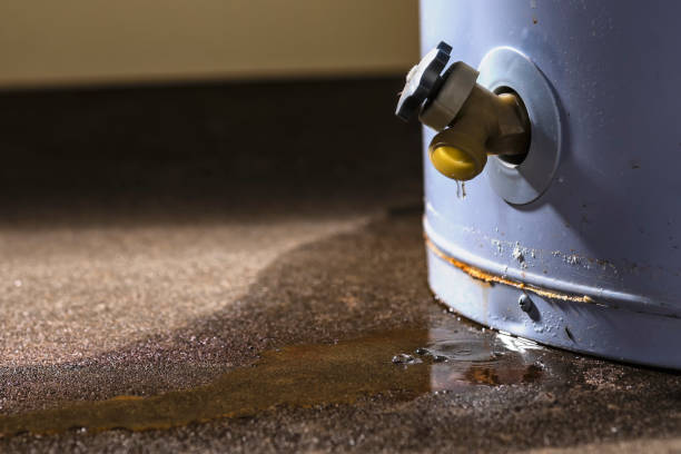 Best Flood restoration services  in Tucson, AZ