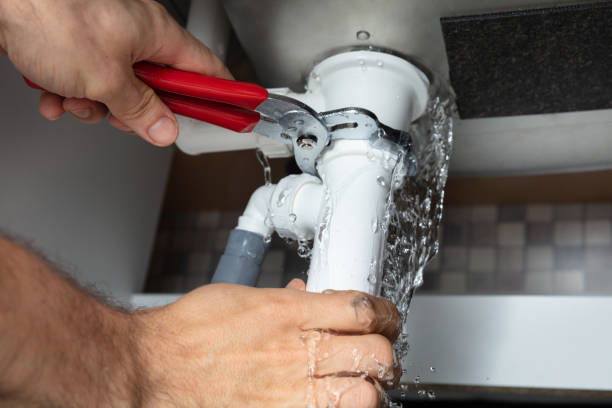 Best Local water damage restoration  in Tucson, AZ