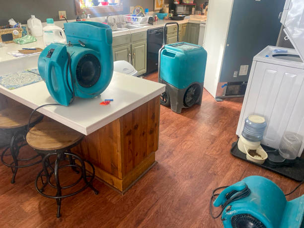 Best Water damage restoration company  in Tucson, AZ