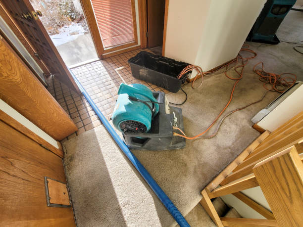 Best Commercial water damage restoration  in Tucson, AZ