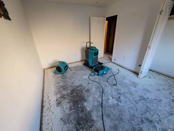 Best Water damage repair service  in Tucson, AZ