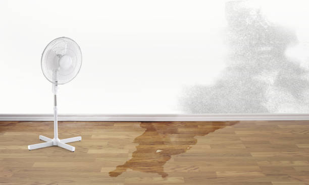 Best Residential water damage restoration  in Tucson, AZ