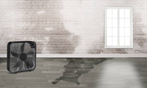  Tucson, AZ Water damage restoration Pros