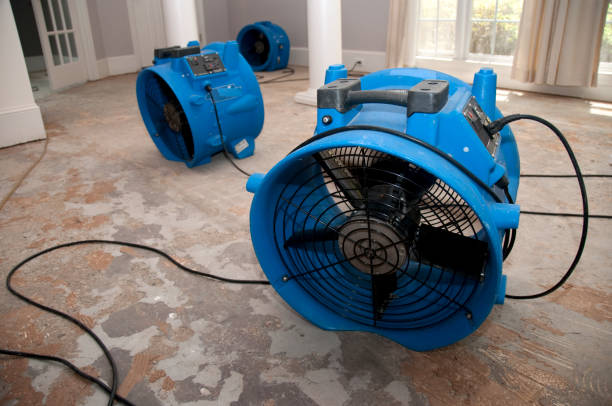 Best Water damage restoration near me  in Tucson, AZ